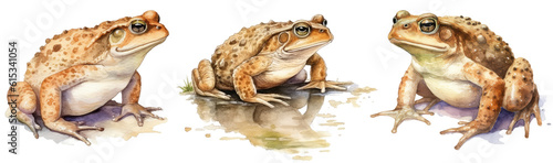 Watercolour illustration collection of common toads isolated on white background as transparent PNG, generative AI animal clipart bundle photo