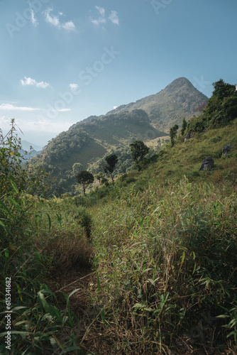 Trekking in Thailand s mountain 