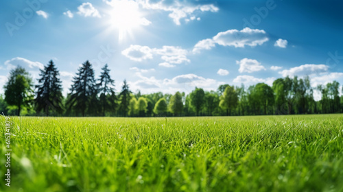 Blur park garden tree in nature background