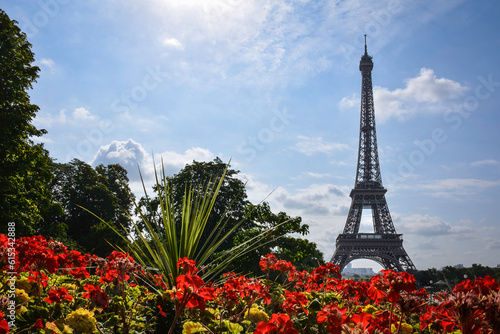 Eiffel Tower on a Flowerbed - Paris, France