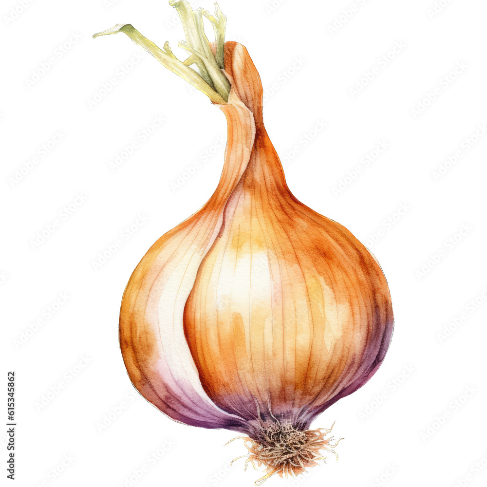 Illustration Showcasing the Mysterious and Essential Nature of Onions