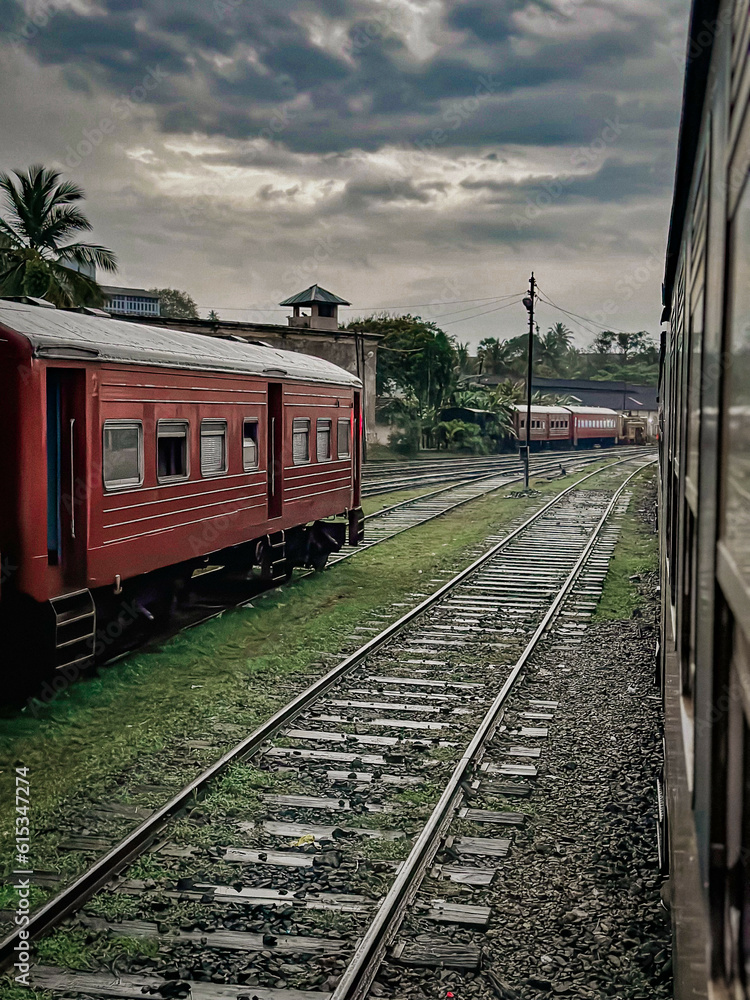 Obraz premium train in the countryside