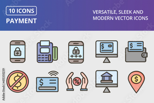 Vector Payment Icon Set
