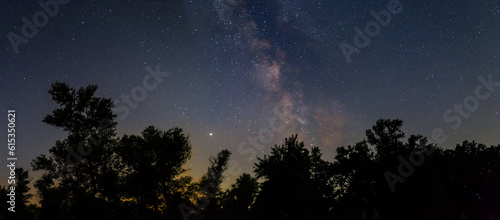 forest silhouette under starry sky with milky way, night outdoor natural landscape