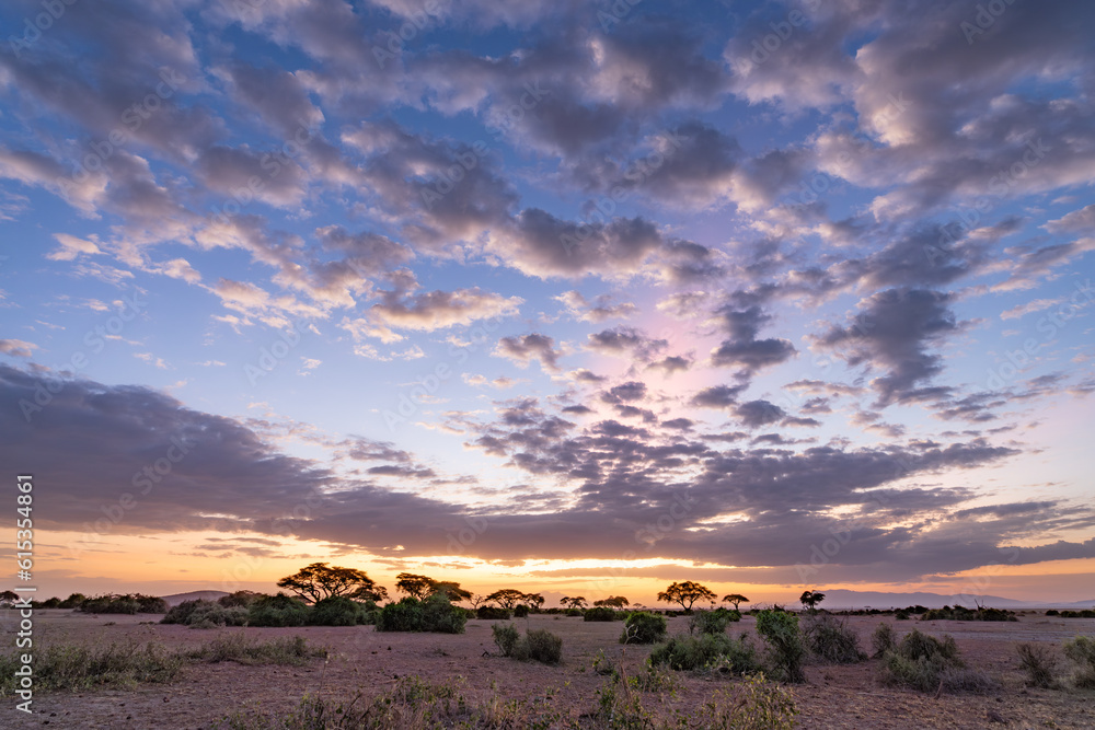 Amboseli National Park at sunset, Kenya, Africa