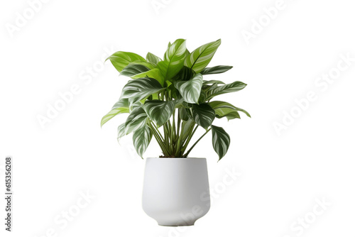 Fotografiet Modern House Plant with White Pot on Transparent Background. AI