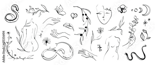 Minimal hand drawn line art vector set. Aesthetic line art design with  woman body  face  hands  butterflies  leaves  flower  snake  moon. Abstract drawing for wall art  decoration  wallpaper  tattoo.