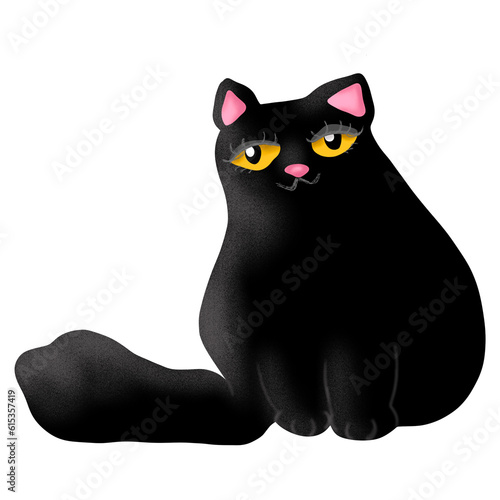 black cat