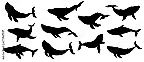 Photo Set of blue whale aquatic mammal silhouettes. Vector graphics.