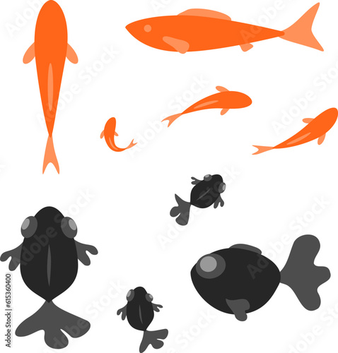 赤い金魚と黒いデメキンのイラスト
