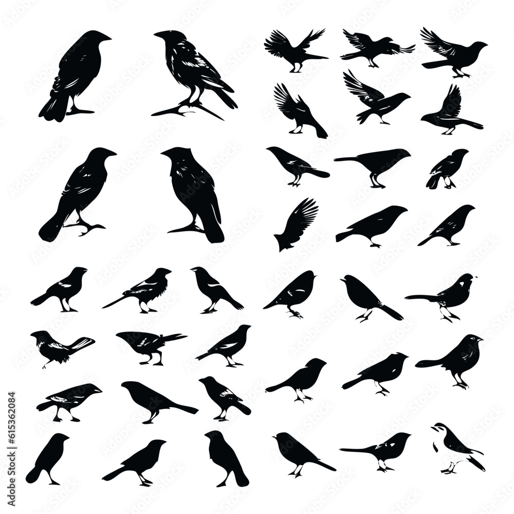 simple bird silhouettes collection for icon logo or element simple bird silhouettes collection for icon logo or element
