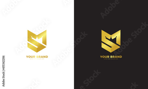 MS King Letter Logo, vector graphic design