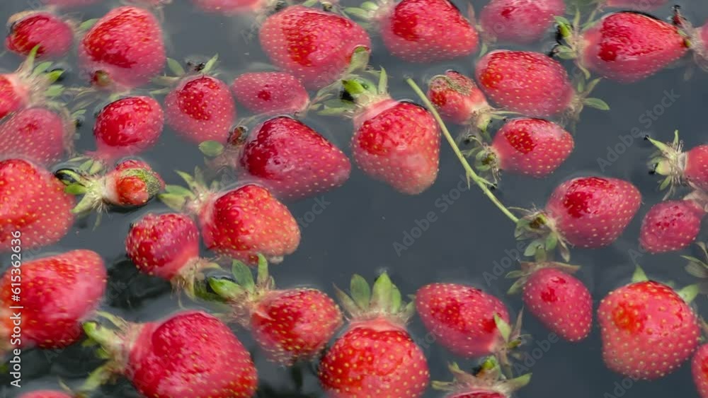 fresh natural organic red strawberry floating in water fresh natural organic red strawberry floating in water