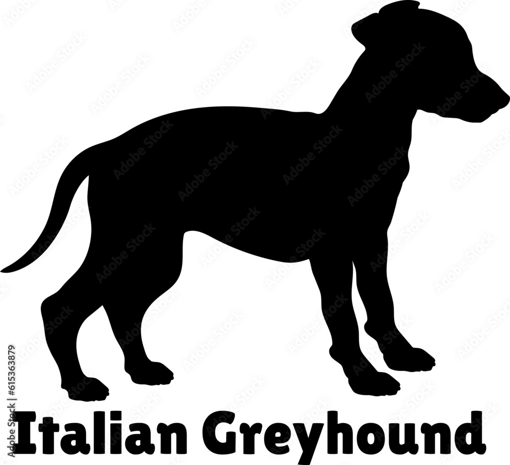 Italian Greyhound Dog puppies silhouette. Baby dog silhouette. Puppy