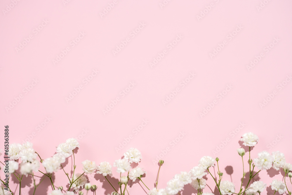 Baby's breath gypsophila frame border on pink background with shadow. Top view close flatlay