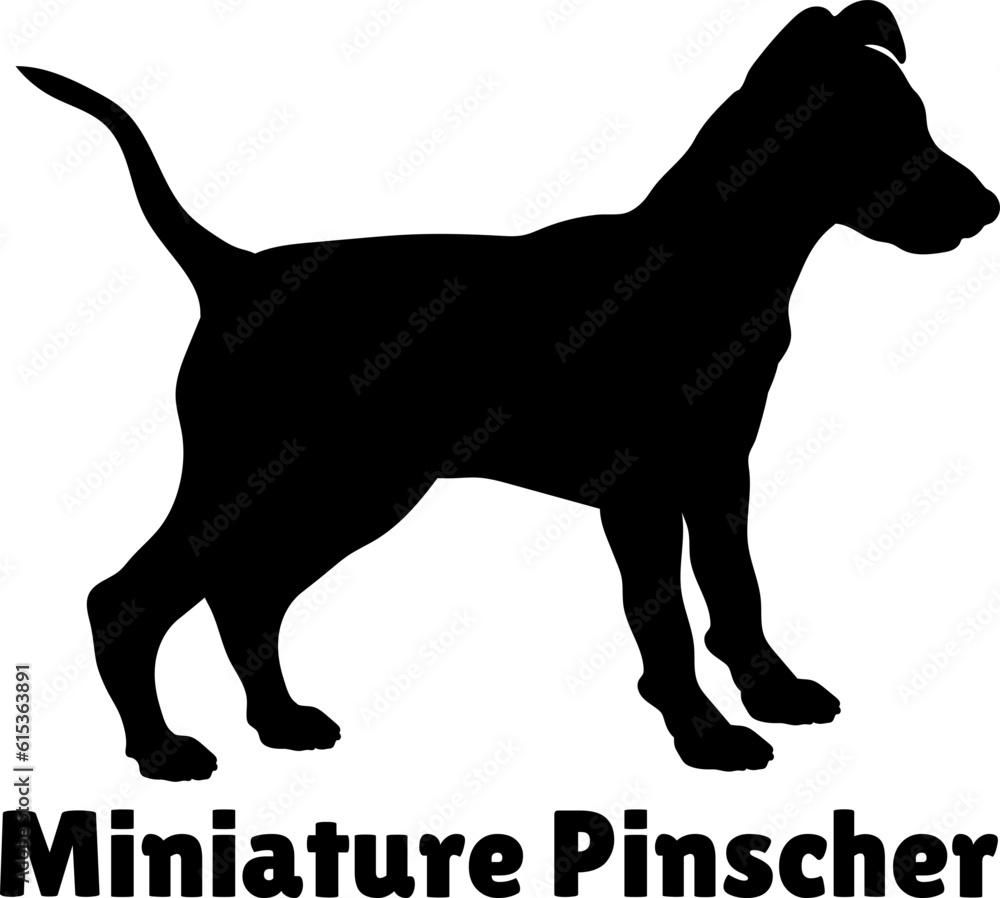 Miniature Pinscher Dog puppies silhouette. Baby dog silhouette. Puppy