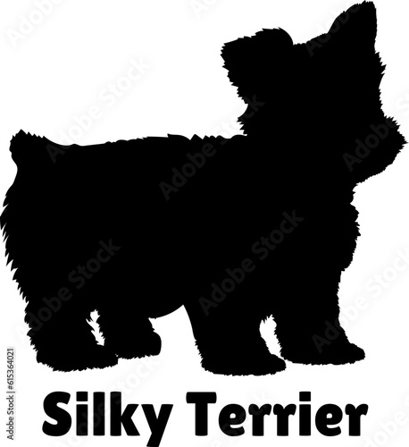 Silky Terrier Dog puppies silhouette. Baby dog silhouette. Puppy