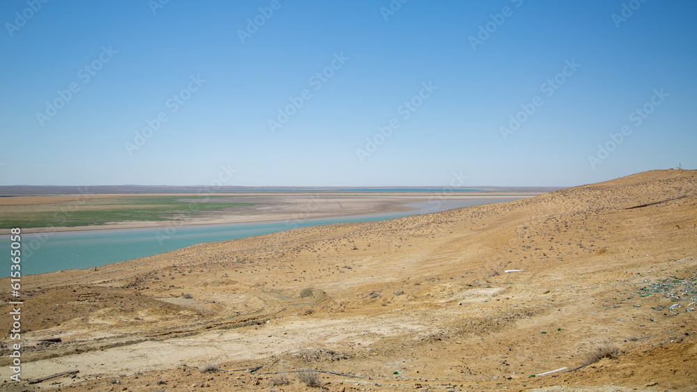 The Amudarya River flows through the territory of Central Asia