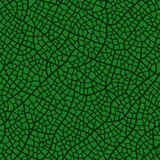 Seamless pattern with plant leaf texture