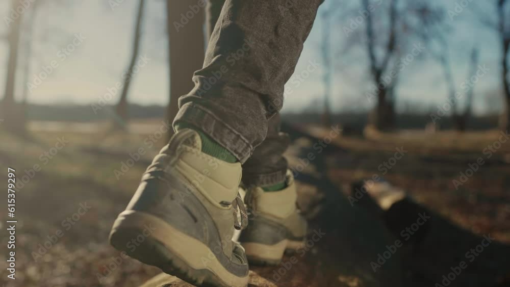hiker walk in the forest park. close-up hiker feet walking on a fallen tree log. family adventure dream concept. a hiker in sneakers walk on a fallen lifestyle tree in park hiker walk in the forest park. close-up hiker feet walking on a fallen tree log. family adventure dream concept. a hiker in sneakers walk on a fallen lifestyle tree in park