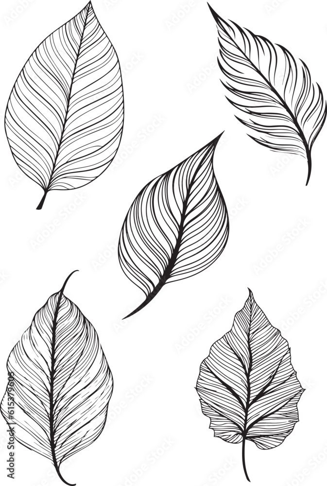 minimalist leaf illustrations, easy print, editable eps file, abstract leaf drawings,set