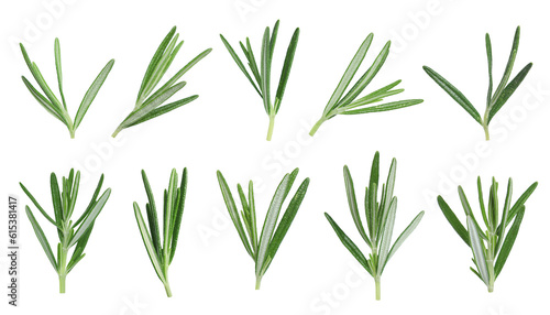 Set with fresh rosemary isolated on white