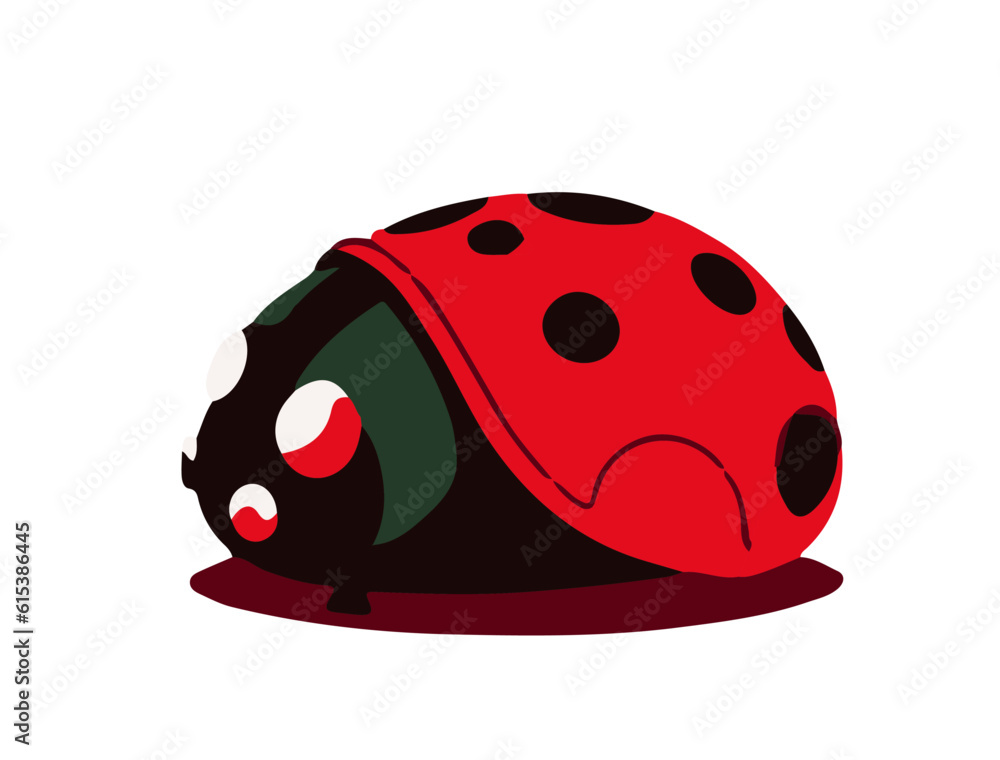 ladybug on a white background ladybug on a white background