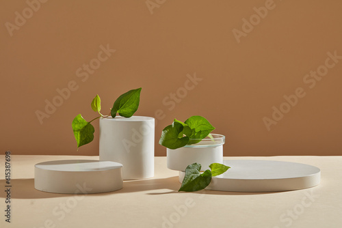 A set of podiums in white color against beige background with few fish mint leaves. Fish mint (Houttuynia cordata) contain antibacterial and anti-inflammatory properties photo