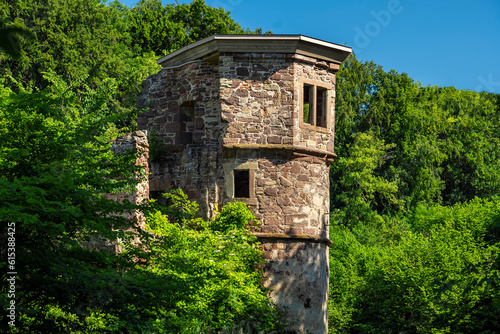 Ruine Wasserschloss in Menzingen photo
