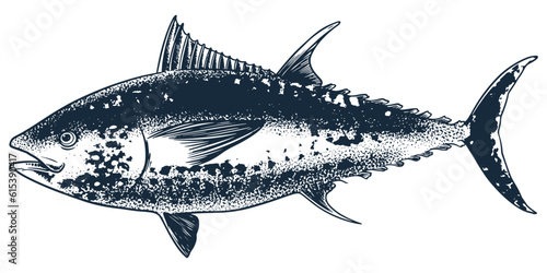 Seafood animal tuna fish engraving drawing vector. Hand sketch vintage style. Food animal ocean sea isolated on white background.