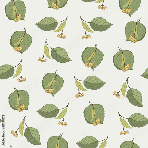 Linden flower summer floral seamless vector pattern.