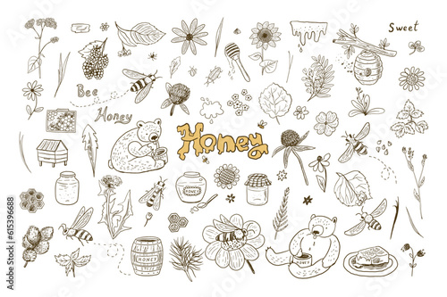 Bees, honey and bears vector line illustraions set.