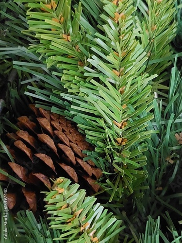 branches of Christmas tree with pine