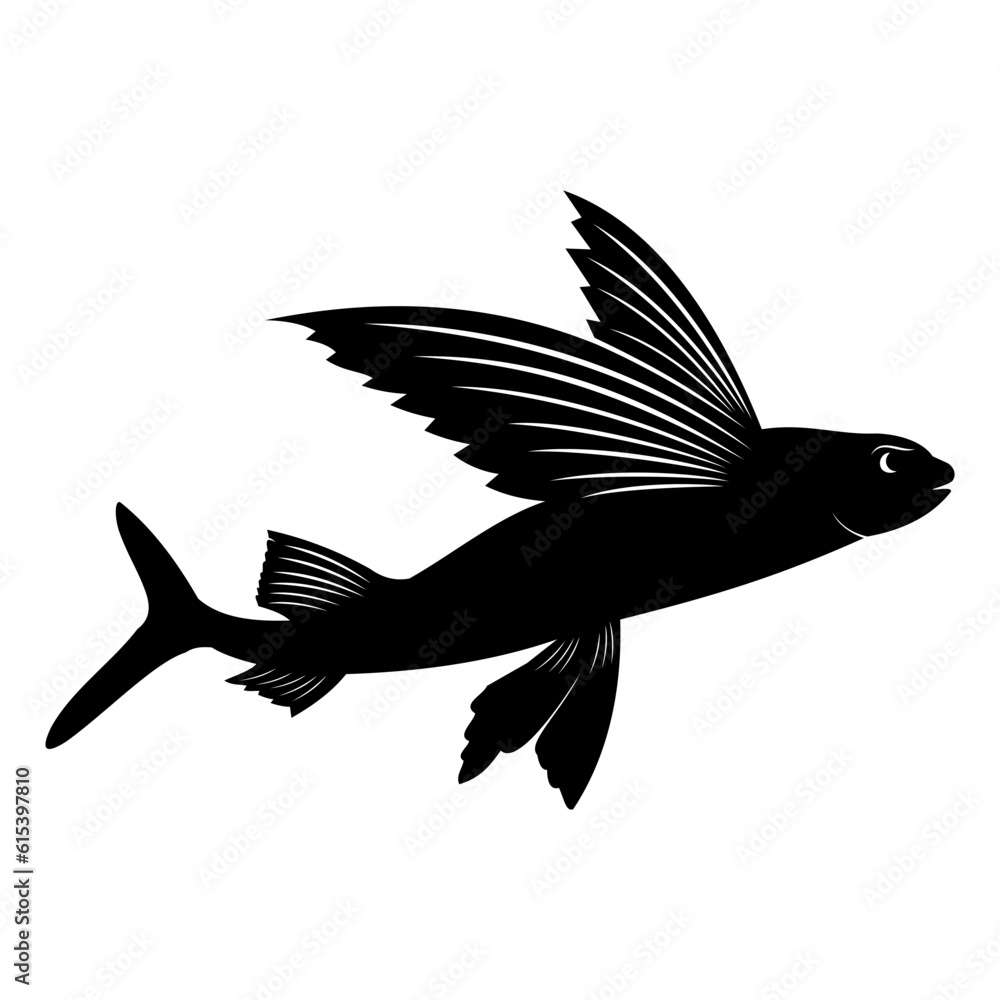 Obraz premium silhouette of a flying fish
