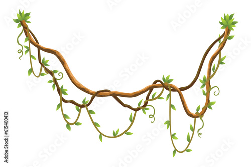 Twisted wild lianas branches banner. Jungle vine plants. Woody natural tropical rainforest, exotic botany. Woody natural branches