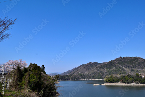 【神奈川県】春の津久井湖城山公園 湖畔