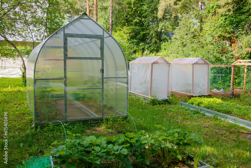 Small farm greenhouse for growing plants on a hothouses for cultivation of tomatoes or organic vegetables with strawberry bed patch background in private garden yard.

Farming and gardening concept. 