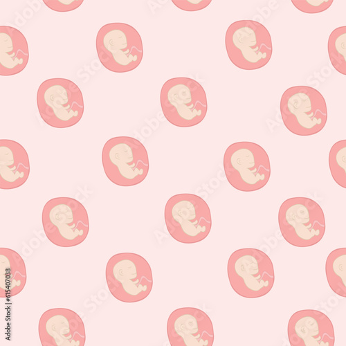 Pattern embryo embryo pregnancy placenta umbilical cord vector illustration