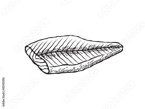 Vector illustration of a salmon fillet in black and white sketch style