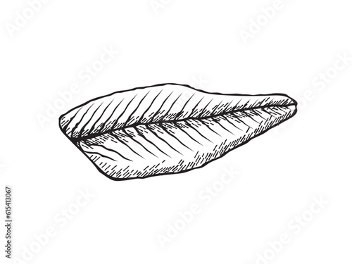 Vector illustration of a sliced smoked salmon fillet in black and white sketch style
