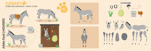 Grey Donkey vector collection ready to animate and rig Fototapet