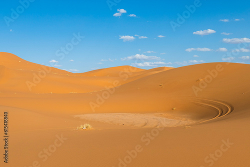 desert sand dunes