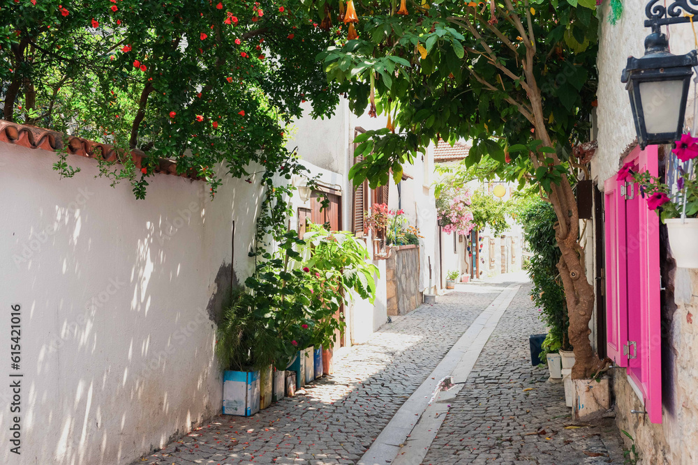 Fototapeta premium Sigacik streets, seaside town, quiet summer holiday, flowery streets, Seferihisar, Izmir, Turkey