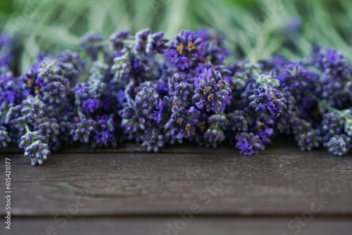 Lavender purple bunches on the wooden table