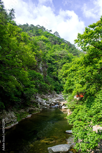 The beautiful deep valley fall landscape. © Chongbum Thomas Park