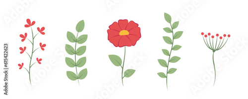 set of leaves tendril floral decoration isolated on white vector illustration EPS10