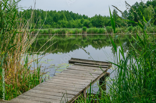 Pomost drewniany wystający nad taflę wody, otoczony zielenią traw i drzew photo