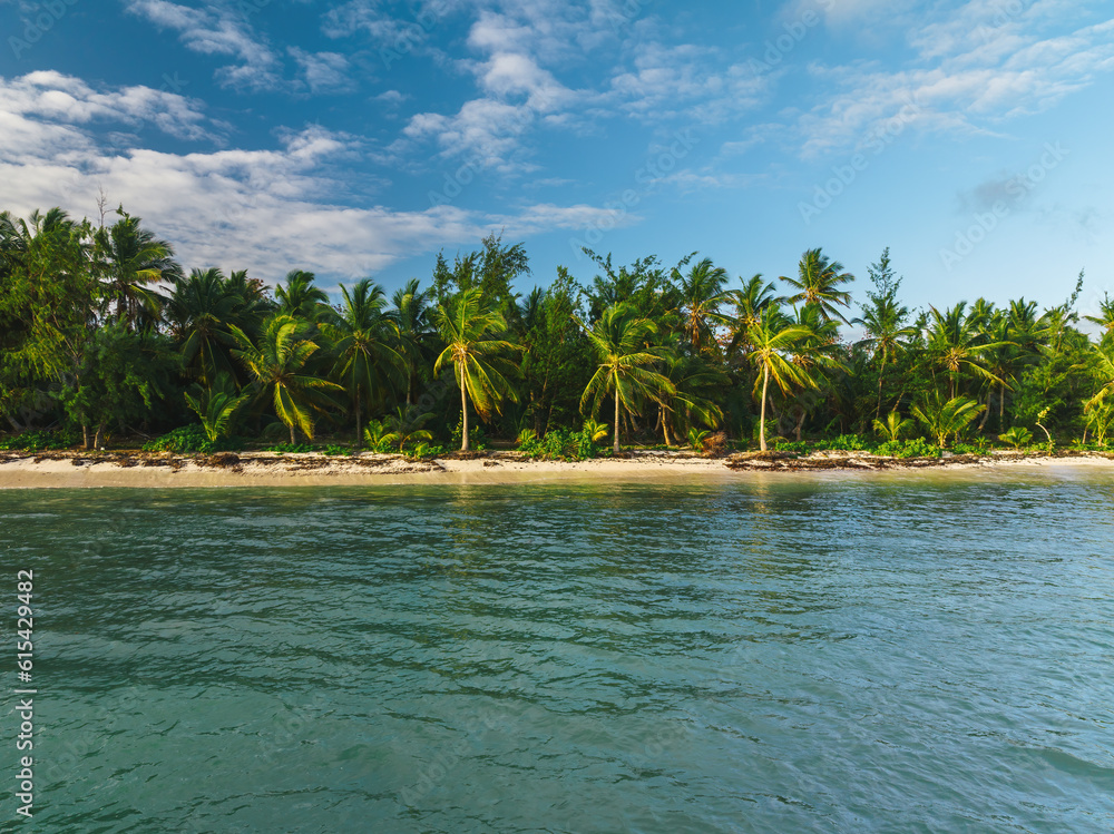 Obraz premium Aerial view of tropical beach and Caribean sea, Dominican Republic