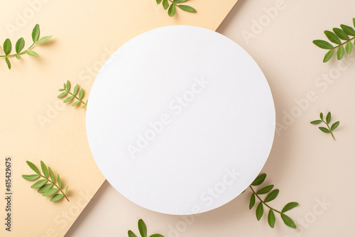 Natural cosmetic products concept. High view photo of empty circle surrounded by eucalyptus foliage on isolated two-toned beige background with copy-space