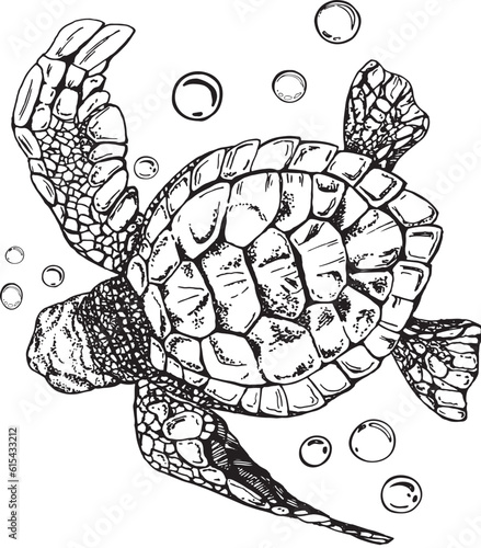 Illustration in black and white graphics of a sea turtle with bubbles isolated on a white background. Hand drawing translated into vector. Designed , packaging for prints, stickers, posters, postcards